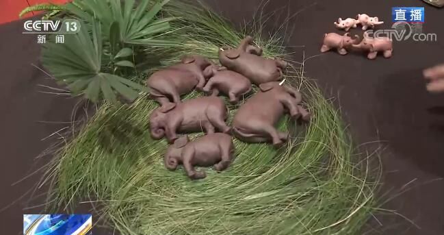 吉“象”绣进新生活 非遗焕发新生机|跟着大象看非遗 | 焕发