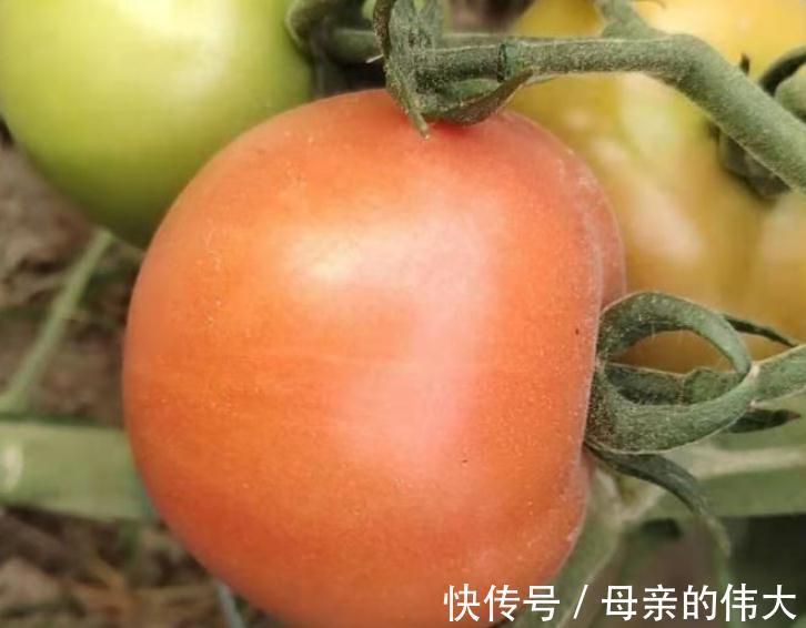 食物|爱美女性多吃的好食物，美容养颜，排毒养颜，抗衰老，气色好