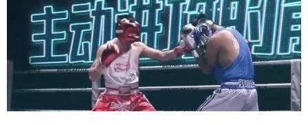 节目组|三大拳王坐镇,张伟丽惊喜加盟,这档明星综艺有点虐?