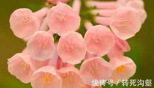 更上一层楼|阴历此三个月出生的人,天生富贵命,财运事业双丰收,富裕又享福