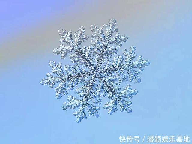 他用8个冬天拍下雪花的样子，每一朵都如此惊艳！