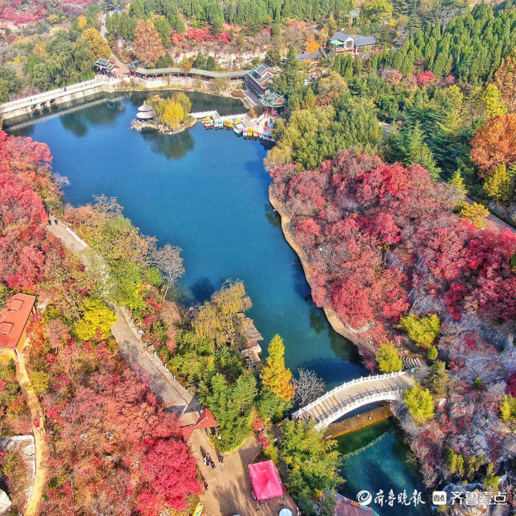 齐鲁壹点|层林尽染满山秋！壹点情报员带你俯瞰济南红叶谷，赏金秋醉美时刻