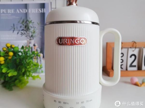 no,no|七彩叮当迷你养生壶,一壶暖时光,开启“轻”生活