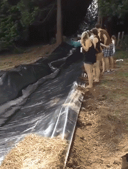 |搞笑动图:没有犁坏的地,只有累死的牛!