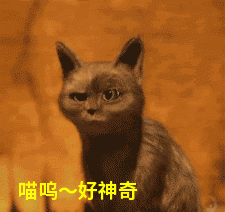 女孩子|香薰减肥,网红抽脂,女性身材焦虑,谁是罪魁祸首?