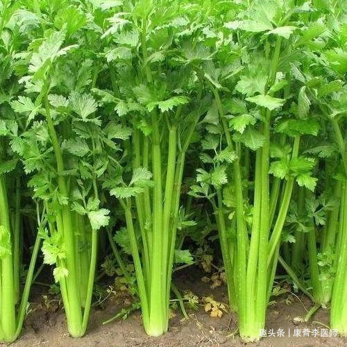 养护|女性不想早衰,多吃的好食物,排毒养颜,养护肝脏,吃了气色好