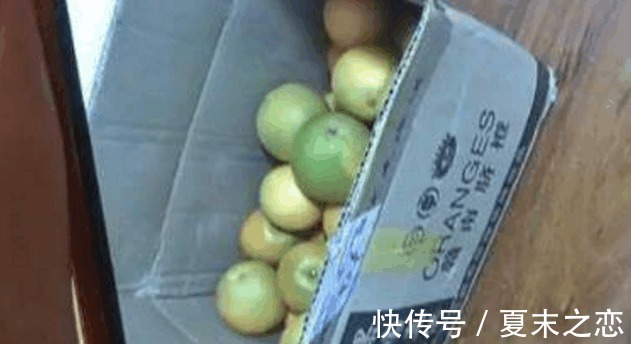 女子|90后女子网购鞋子 收货时却变成了玩具 卖家称是快递公司掉了包