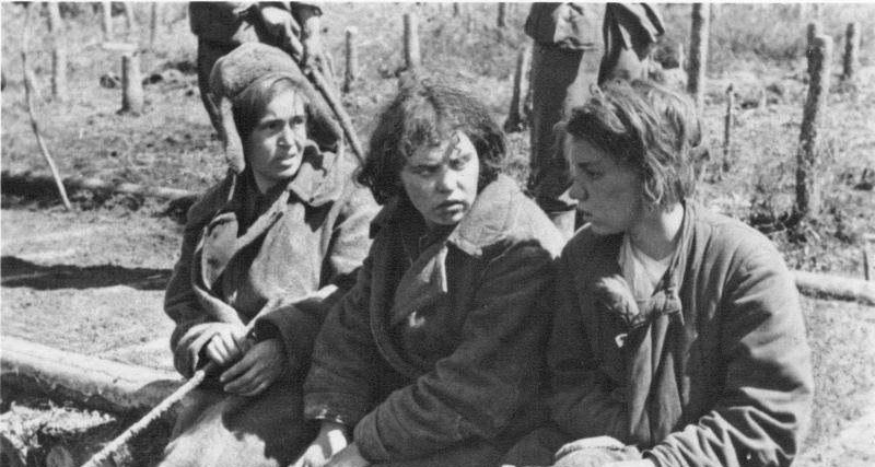 为什么二战后,苏联人口恢复的那么快 这一