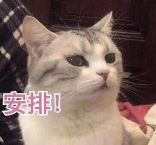 测评|亲测6支网红隔离乳,照着买不花冤枉钱!