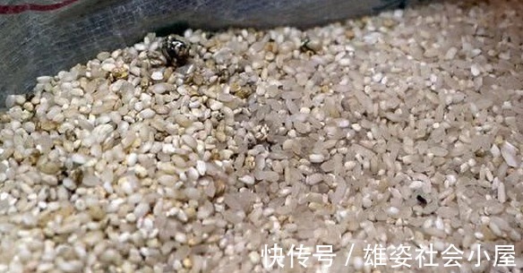 黑米粥|老人喝黑米粥能养肝?医生:赶紧停下!夏天护肝,2种谷物要少吃