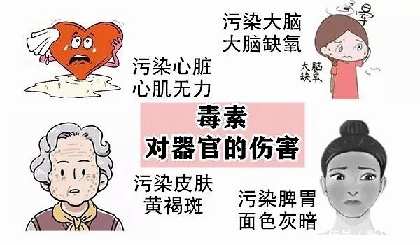 元气|大白话说中医第一百一十八期体寒肝虚要抓主因，先调便秘全身受益！