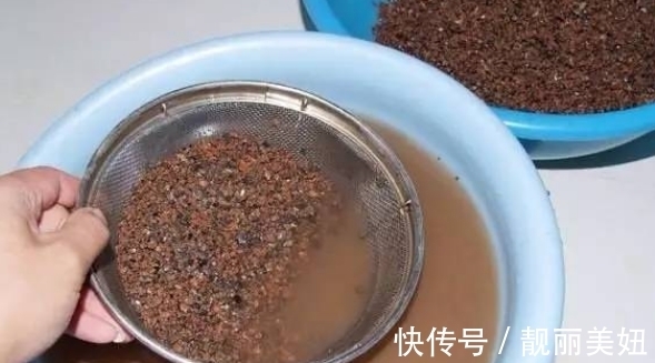 盆栽多肉不想土结块就用这“渣”作弊,方便储存空气、排泄积水