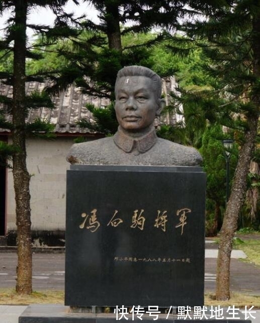 地下党员|中共领导的琼崖纵队当年为什么要伏击地下党员韩练成将军?