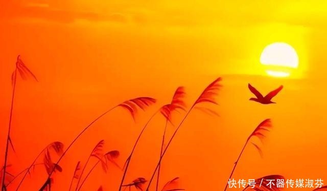 心旷神怡|漫步,兴赏秋,心旷神怡,看日暮