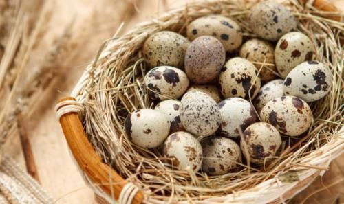 胆固醇|鹌鹑蛋营养比鸡蛋的还高，每天吃几个，身体或能尝到3个“甜头”