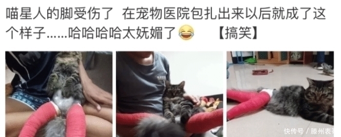 |发个段子想屏蔽家人，结果点成了家人可见！尴尬的抠出了三室一厅