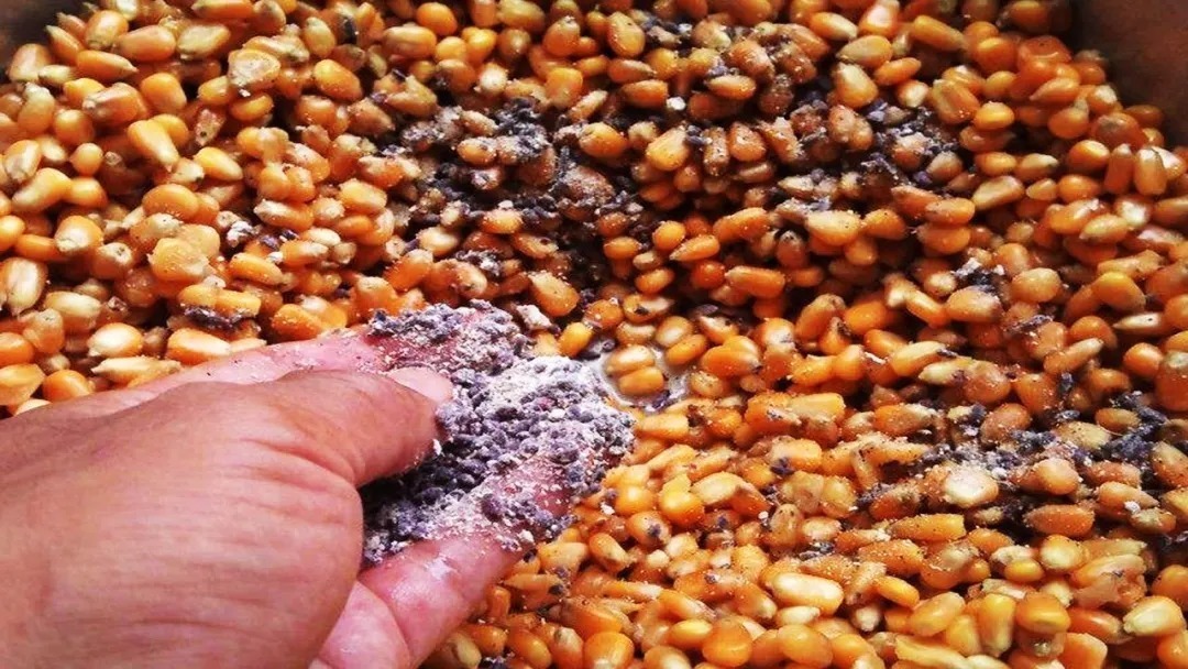 打窝不发窝,窝料不诱鱼,发窝不留鱼,其实你只是在喂鱼