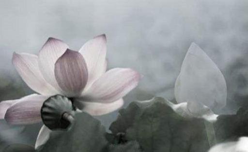 不幸|钱穆现代人的不幸,源于找不到合适的地方安放自己的内心