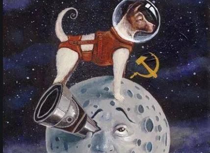 死亡 首个进入太空的狗,飞行前已知有去无返,死亡真相隐藏了45年