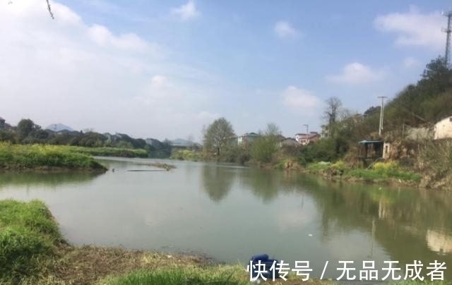 光水区|光水钓鲫鱼那点事儿,用长竿太累,但能比别人钓得更多