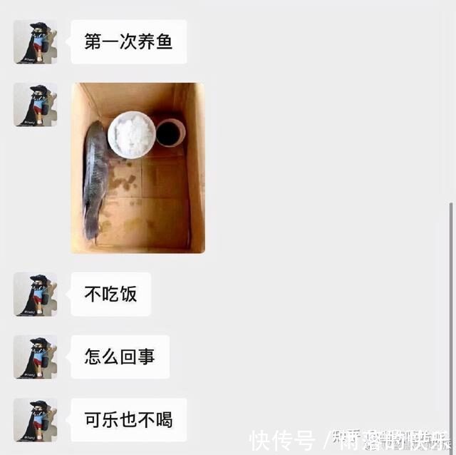 |开心一笑，爆笑图片段子：上个网课，卡成了恐怖片