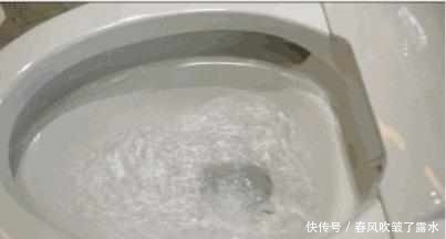厕纸是扔进垃圾桶还是马桶呢?10年保姆教你1招