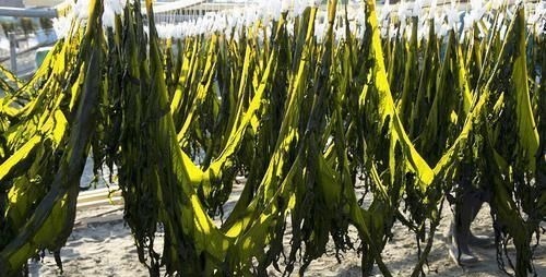 长寿食物|糖尿病人该怎么吃？常吃4种“长寿食物”，血糖稳降，远离并发症