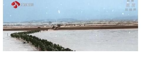 张靓颖演唱长津湖主题曲，歌声催泪动情，致敬“最可爱的人”