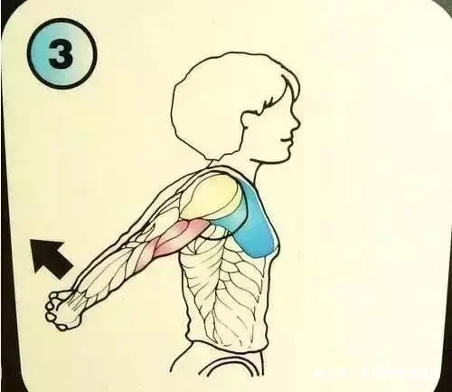 紧绷|一个最全养生拉筋动作,每天只需十分钟,筋长一寸寿延十年!