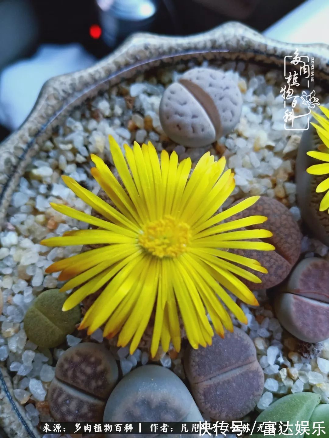 养肉路上，累并快乐着！时光不语，静待花开！