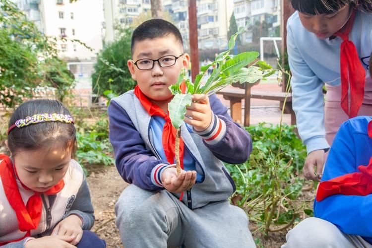 潇翔小学|中草药标本制作之旅：传承中医药文化潇翔小学在行动