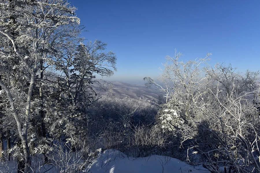 心底|雪，心底的故乡