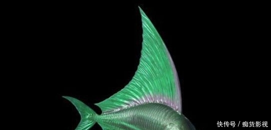 白垩纪 海洋竟然存在这种生物 十大远古鱼类盘点 快资讯 白垩纪 海洋竟然存在这种生物 十大远古鱼类盘点 快资讯