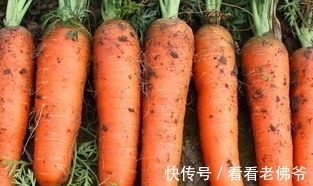 裸睡|31个冷知识:学校里不会教,但却可以使人博学的奇怪知识