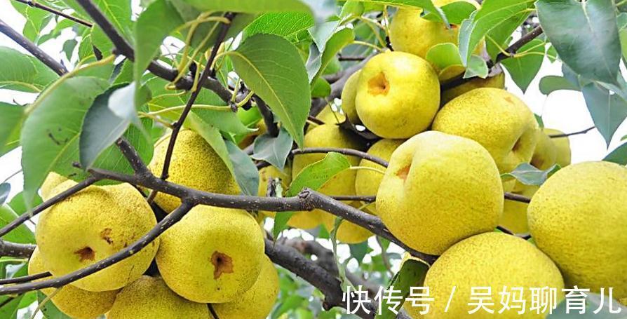 维生素b|吃了不老的食物,没事坚持吃,对皮肤非常好,营养全面,越吃越好