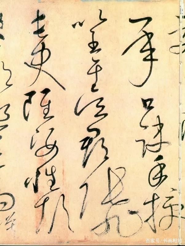 内府&怀素《自叙帖》奔蛇走虺势入座,骤雨旋风声满堂