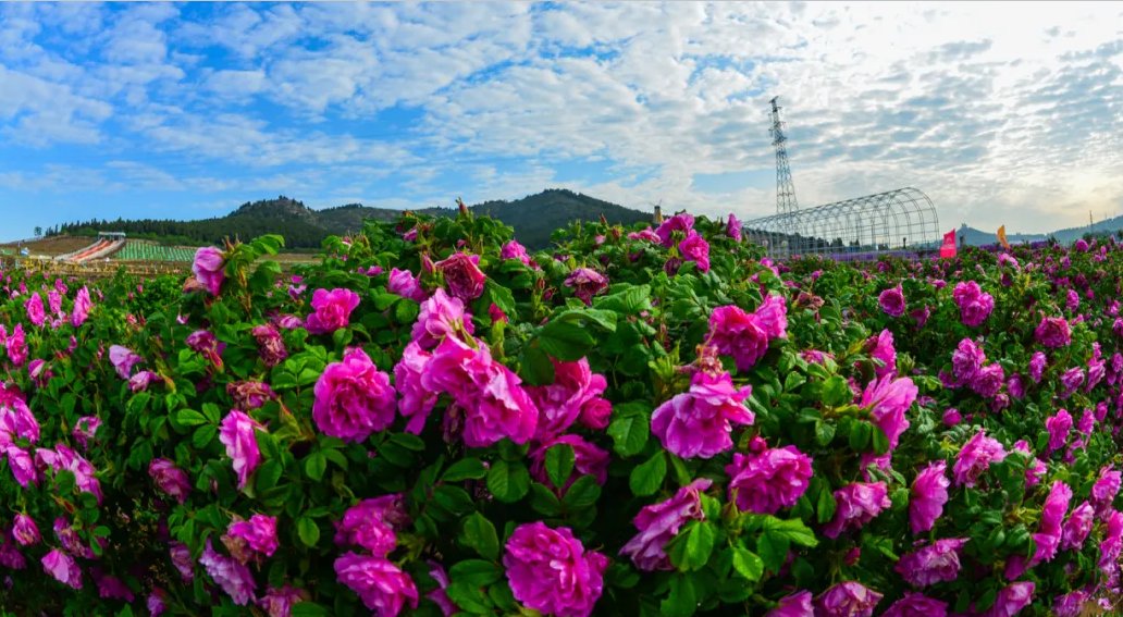 济南国际泉水节|第九届济南国际泉水节 泉水主题旅游线路产品