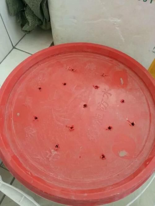 自制4种营养土,再也不板结烂根,大白根能挤破盆!