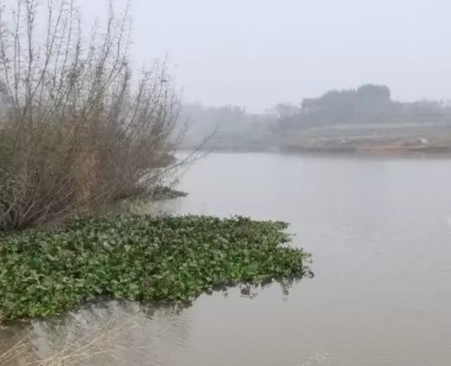 冬季钓鲤鱼,掌握下面几个小技巧,爆盆爆桶心情好