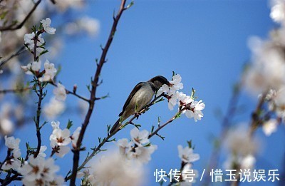 生肖鼠|孩子若是这3生肖，等于生了一个“招财童子”，以后运旺财也旺