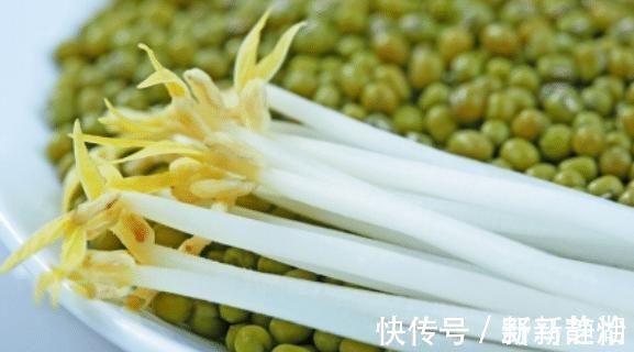 化肥|别再买豆芽了！有豆子就能发，3天就发好，无化肥更健康，超简单