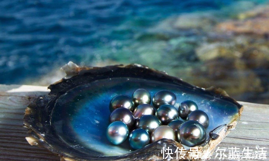 珠宝玉之窗|来自太平洋的馈赠,大溪地珍珠纯洁又神秘,邓文迪也为它沦陷