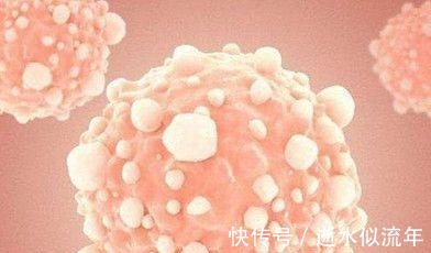 三萜皂苷|医生透漏它是最廉价的“抗癌王”,3块钱一个,常吃远离癌症!