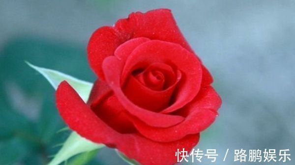 巳时|出生在以下时辰的孩子,个个“文曲星”,孝顺懂事,长大有出息