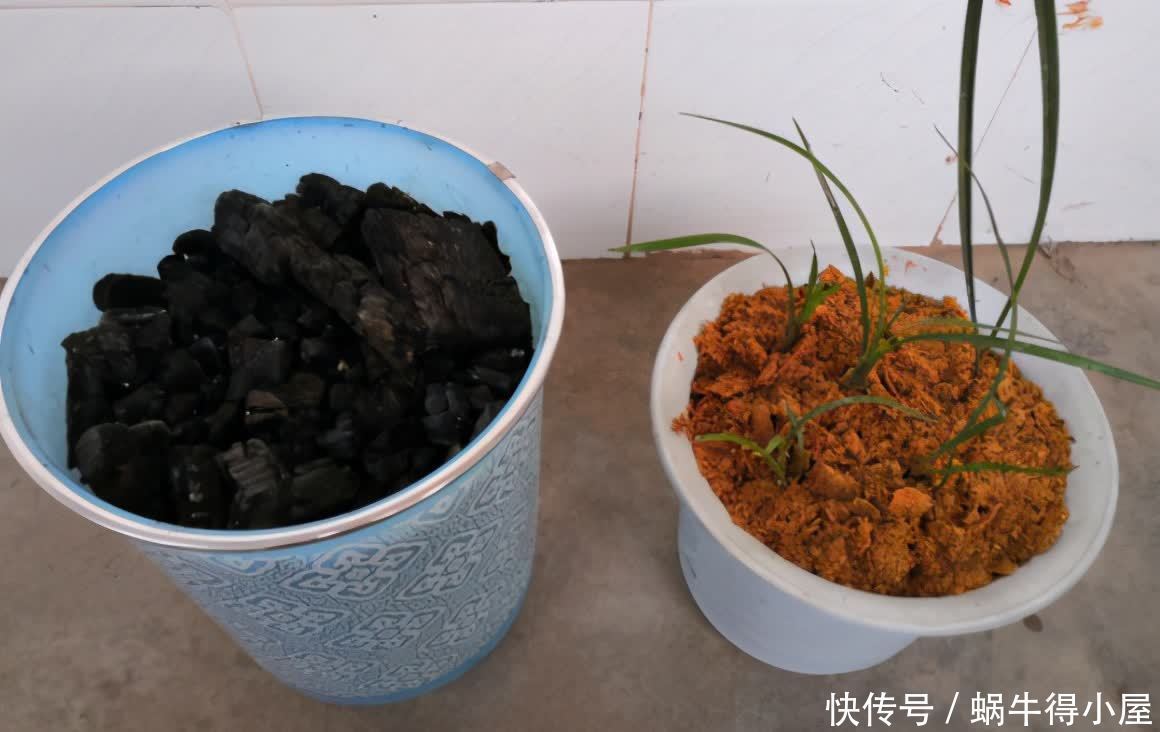 挖掘木炭养花用途：当肥？改善土壤？防治病虫害？