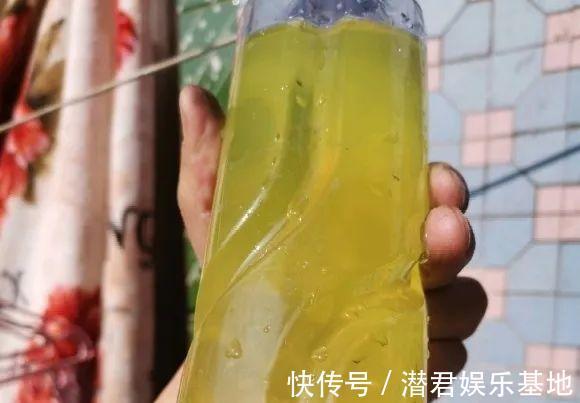 可以浇花的药,过期也要留着,保花不生虫、不生病!