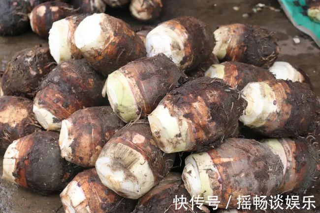 高血压|吃韭菜会血压升高？警惕：想血压稳定，少碰这3种“素食”