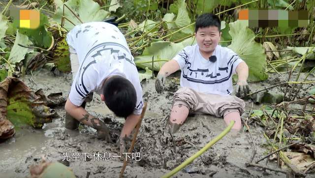  孩子|《盘中餐》爱哭鬼兄弟，都是孩子差距真大，令人无语的是他们老妈