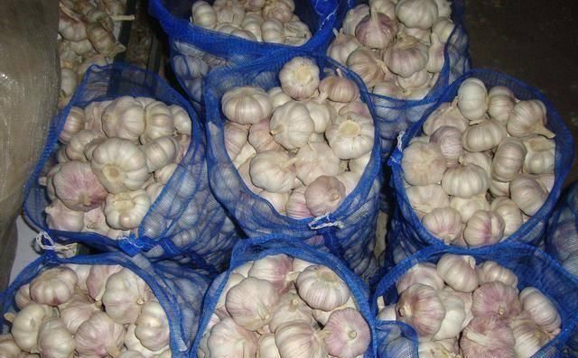 菜农|买回来的大蒜老是发芽菜农教我这招,存放一年都不会发芽了
