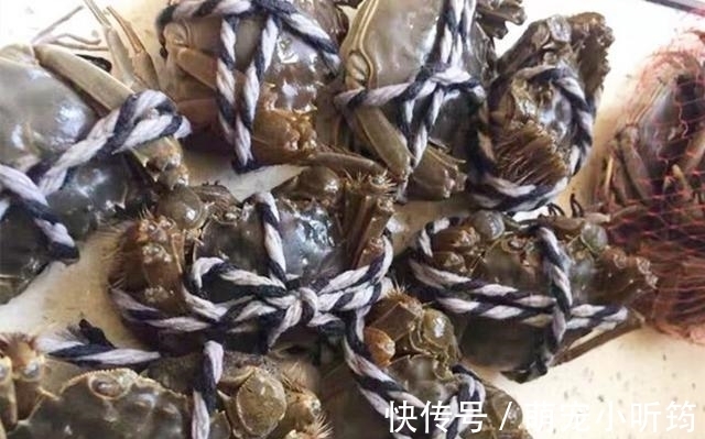 蒸大闸蟹时,直接上锅蒸就废了,多加这1步,蟹肉鲜嫩入味不流黄